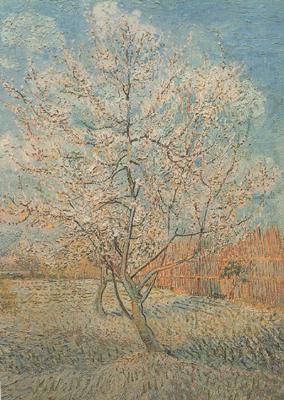 Vincent Van Gogh Peach Tree in Blossom (nn040 china oil painting image
